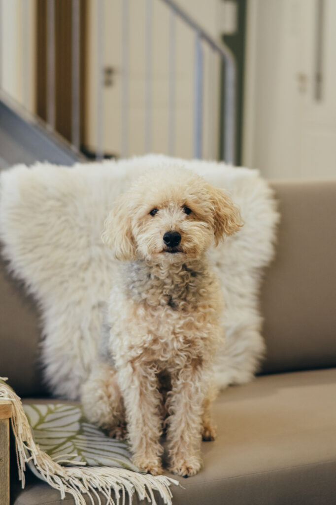 DAS-Heimkontor_Vertrieb-100